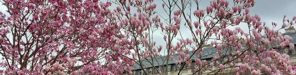 Contact je vous accompagne dans vos projets de rénovation et décoration en Ile de France et dans le LOT nature